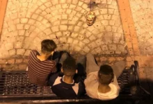 صورة المحمدية تواجه تحدي تفاقم ظاهرة تشرد الأطفال وانتشارهم في الشوارع