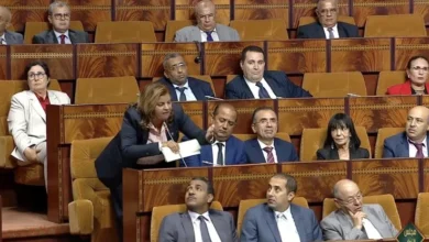 صورة برلمانية تتلفظ بكلام مهين تجاه ذوي الإعاقة داخل قبة البرلمان