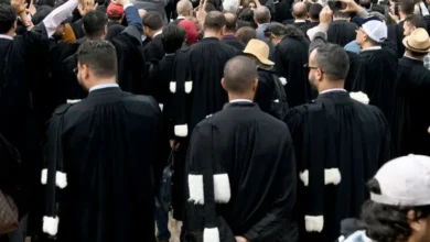 صورة إضراب المحامين يعيد النقاش حول حقوق المتقاضين وحدود حماية المستهلك