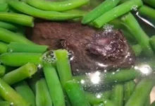 صورة هولندا .. “فئران مجمّدة” تهز ثقة المستهلكين ومغاربة المهجر يتساءلون عن سلامة غذائهم