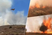 صورة تطوان .. حريق غابوي خطير يستنفر 200 عنصر وطائرات (كنادير) تدخل على الخط