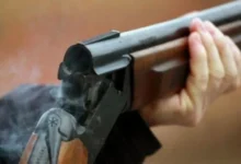 صورة الجديدة : طلقة نارية تُنهي حياة شخص في غابة نواحي البئر الجديد