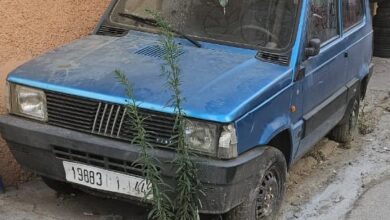 صورة ماعلاقة رئيسة الملحقة الادارية 14 بطنجة ب (عين ميكا )