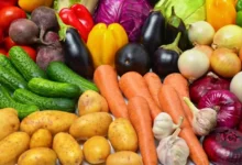 صورة المغرب يرسخ موقعه كقوة فلاحية عالمية.. الصادرات تضاعفت خمس مرات خلال عقدين