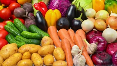 صورة المغرب يرسخ موقعه كقوة فلاحية عالمية.. الصادرات تضاعفت خمس مرات خلال عقدين