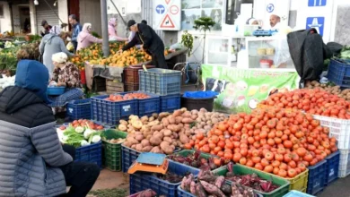 صورة غلاء الخضر والفواكه يفتح نقاشاً واسعاً حول التصدير وتعدد الوسطاء في الأسواق المغربية