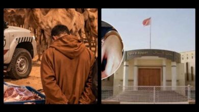 صورة سقوط عصابة سارقى الإبل بالداخلة أحكام نارية تنهي زمن العبث بثروة الكسابين