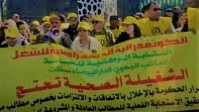 صورة وسط ترقب نتائج اجتماع 4 أبريل ..النقابة الوطنية للصحة/ CDT تواصل التعبئة لإنجاح المحطة الاحتجاجية الوطنية