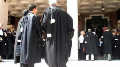 صورة وهبي: إصلاح المحاماة خيار استراتيجي لتعزيز جودة العدالة واحترافية المهنة