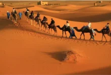 صورة أمريكا تدعم مغربية الصحراء والجزائر خارج اللعبة