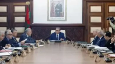 صورة دعم مالي جديد للشباب يلهب سباق الانتخابات … الحكومة تفتح الباب أمام جيل أقل من 35 سنة لدخول البرلمان