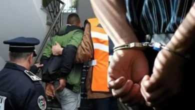 صورة ميناء طنجة المتوسط .. سقوط شحنة ضخمة من الإكستازي داخل سيارة وتفكيك محاولة تهريب دولية