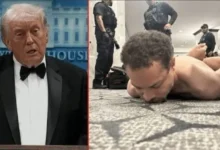 صورة المغرب يدين بقوة محاولة إغتيال الزعيم ترامب