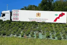 صورة إضراب مرتقب للنقل الطرقي الدولي احتجاجا على قيود التأشيرات وارتباك الرحلات