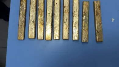 صورة إحباط تهريب نحو 7 كيلوغرامات من الذهب بميناء طنجة المتوسط