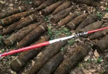 صورة ألمانيا : “كنز الموت” يخرج من تحت الأرض  باحث عن الكنوز يعثر على 59 قذيفة سوفياتية تزن 1.5 طن في غابة ببرلين