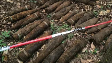 صورة ألمانيا : “كنز الموت” يخرج من تحت الأرض  باحث عن الكنوز يعثر على 59 قذيفة سوفياتية تزن 1.5 طن في غابة ببرلين