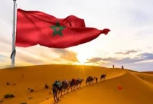 صورة زامبيا تجدد دعمها لمغربية الصحراء