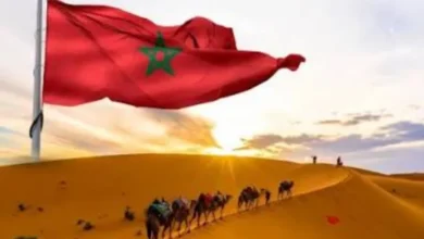 صورة زامبيا تجدد دعمها لمغربية الصحراء