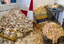 صورة طنجة.. حجز طنين من الدجاج الفاسد داخل مستودع بخندق الدير