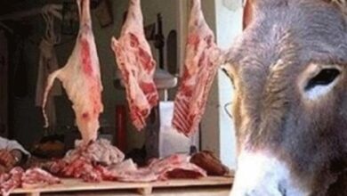 صورة ضبط جزار يقوم بذبح الحمير لترويج لحومها داخل مغارة بجماعة الدراركة