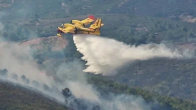 صورة المغرب يسيطر على حرائق غابات تارودانت والحوز بعد التهام 115 هكتارًا