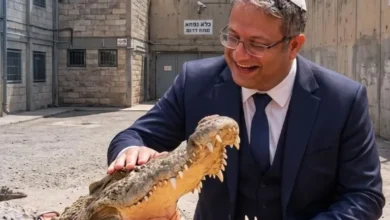 صورة إسرائيل تفتح الباب أمام استخدام التماسيح لتطويق السجون لإلتهام الأسرى