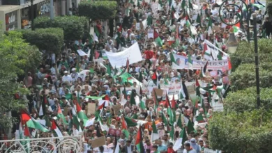 صورة خوفًا من احتجاجات قد تسقط النظام العسكري … تبون يصدر تعليمات سرية بإغلاق المساجد غدا الجمعة