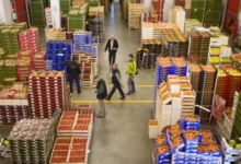 صورة المغرب يكتسح سوق الخضر والفواكه في إسبانيا