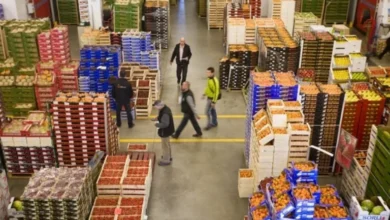 صورة المغرب يكتسح سوق الخضر والفواكه في إسبانيا