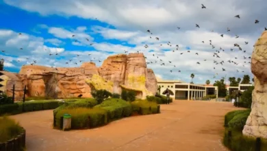 صورة حديقة الحيوانات بالرباط تطلق تحولا استراتيجيا يمتد إلى 2030