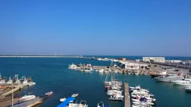 صورة من طنجة إلى الناظور  المغرب يفتح جبهة جديدة بالطاقة النظيفة بـ18 مليون درهم ويشعل سباق الموانئ الخضراء
