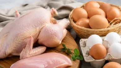 صورة وعود حكومية بخفض خيالي للأسعار تتبخر سريعاً.. الدجاج البلدي بـ80 درهما للكيلو والبيضة تقترب من 3 دراهم