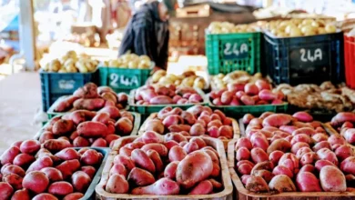 صورة ثقة الأسر المغربية تتراجع و95.9% تشتكي ارتفاع أسعار الغذاء